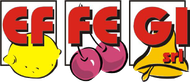 EFFEGI Logo
