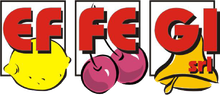 EFFEGI Logo