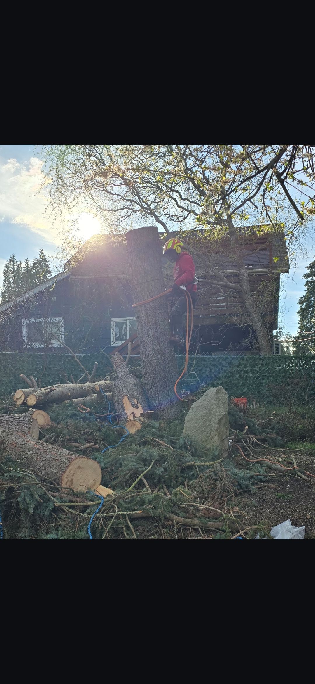 Sunlight streams over a weathered house surrounded by tree logs and branches.