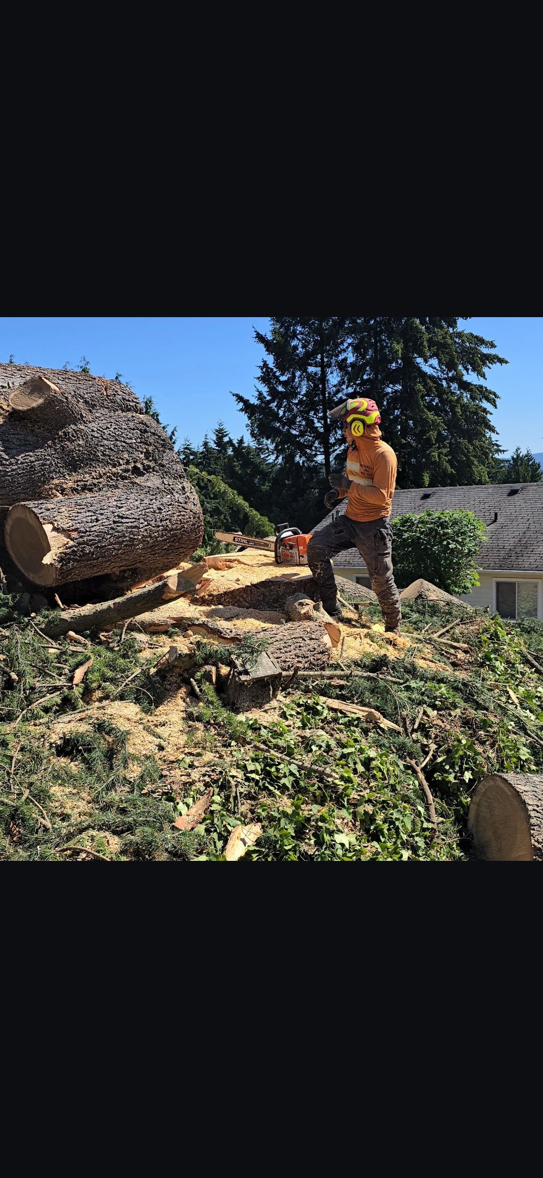 Arborist cutting a large log with a chainsaw outdoors; debris and greenery surround.