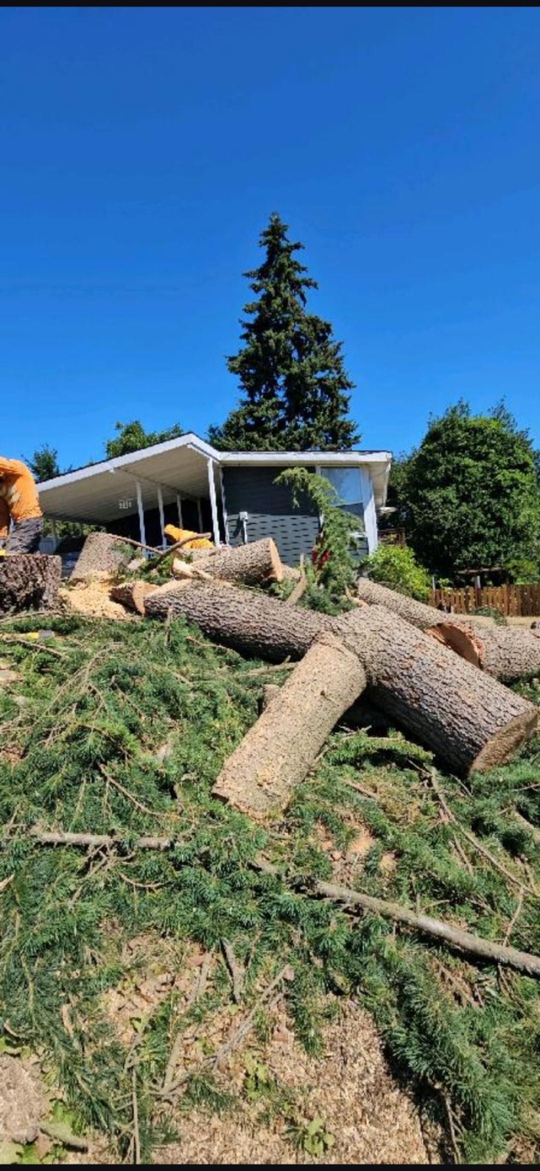A house on a hillside with freshly cut logs and tree debris under a bright blue sky.