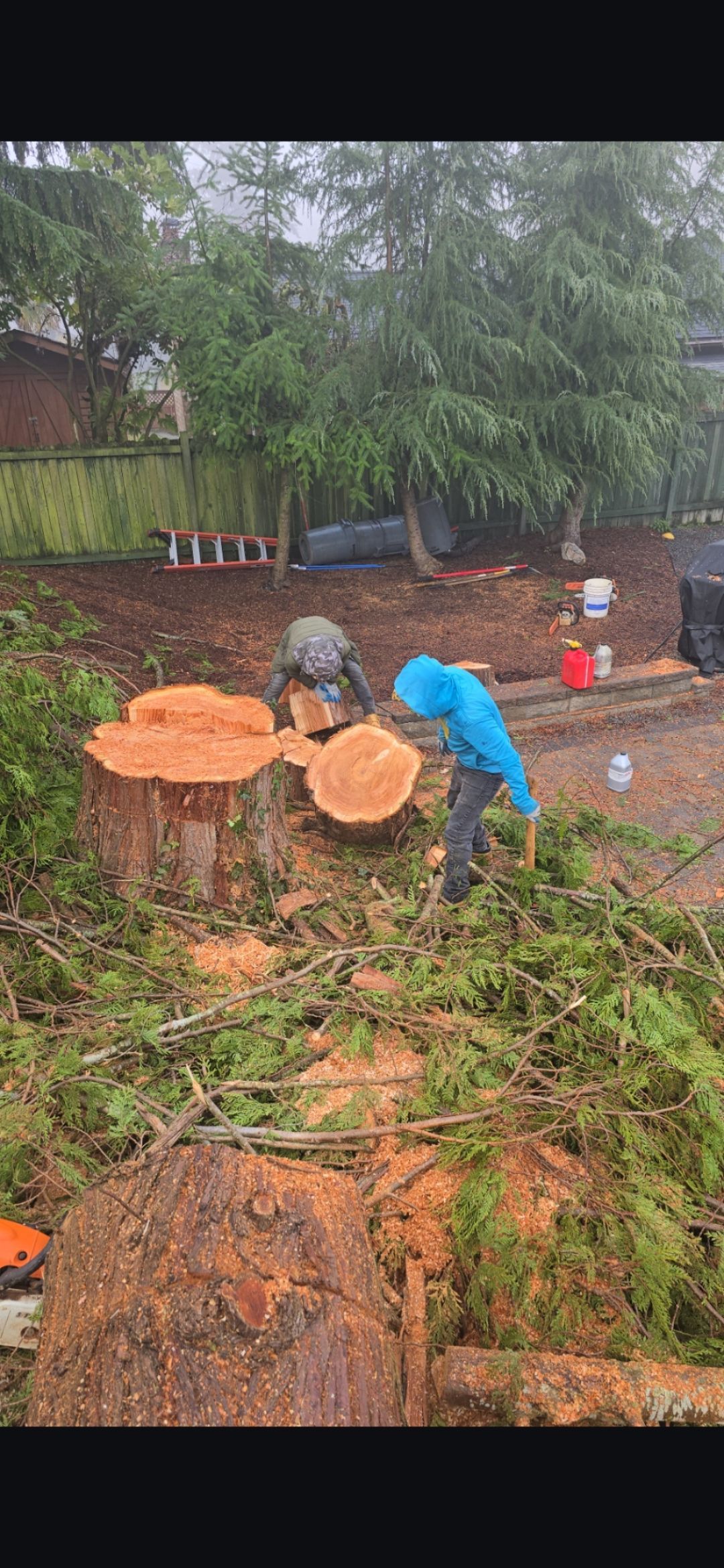 Two people cutting a tree trunk in a yard. One person is wearing a blue jacket. Wood chips and cut branches are present.