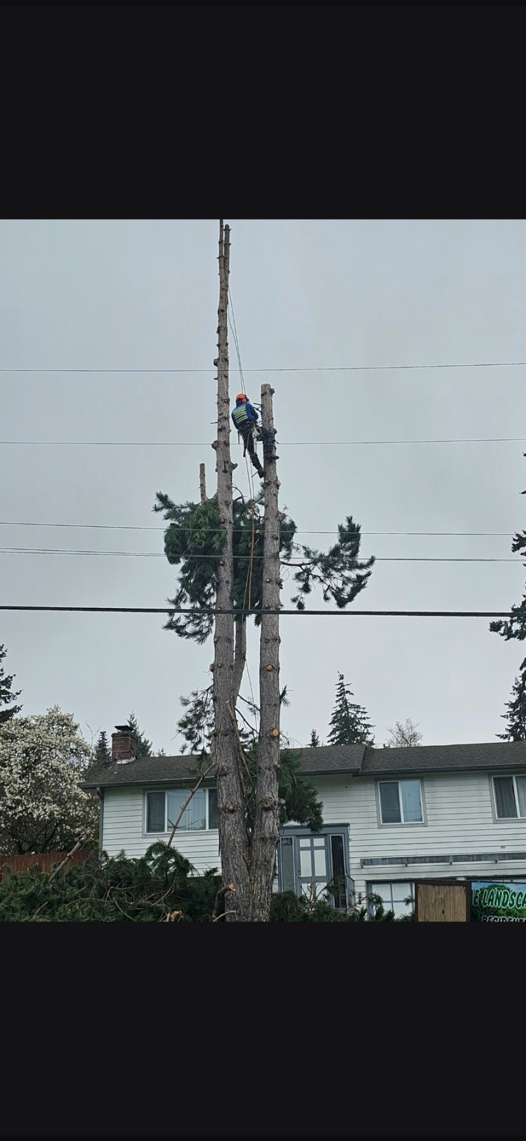 Tree being trimmed near power lines and a house.