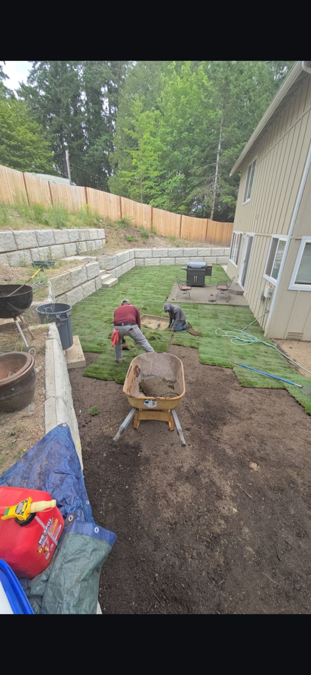 Workers laying sod in a backyard next to a house and a retaining wall.