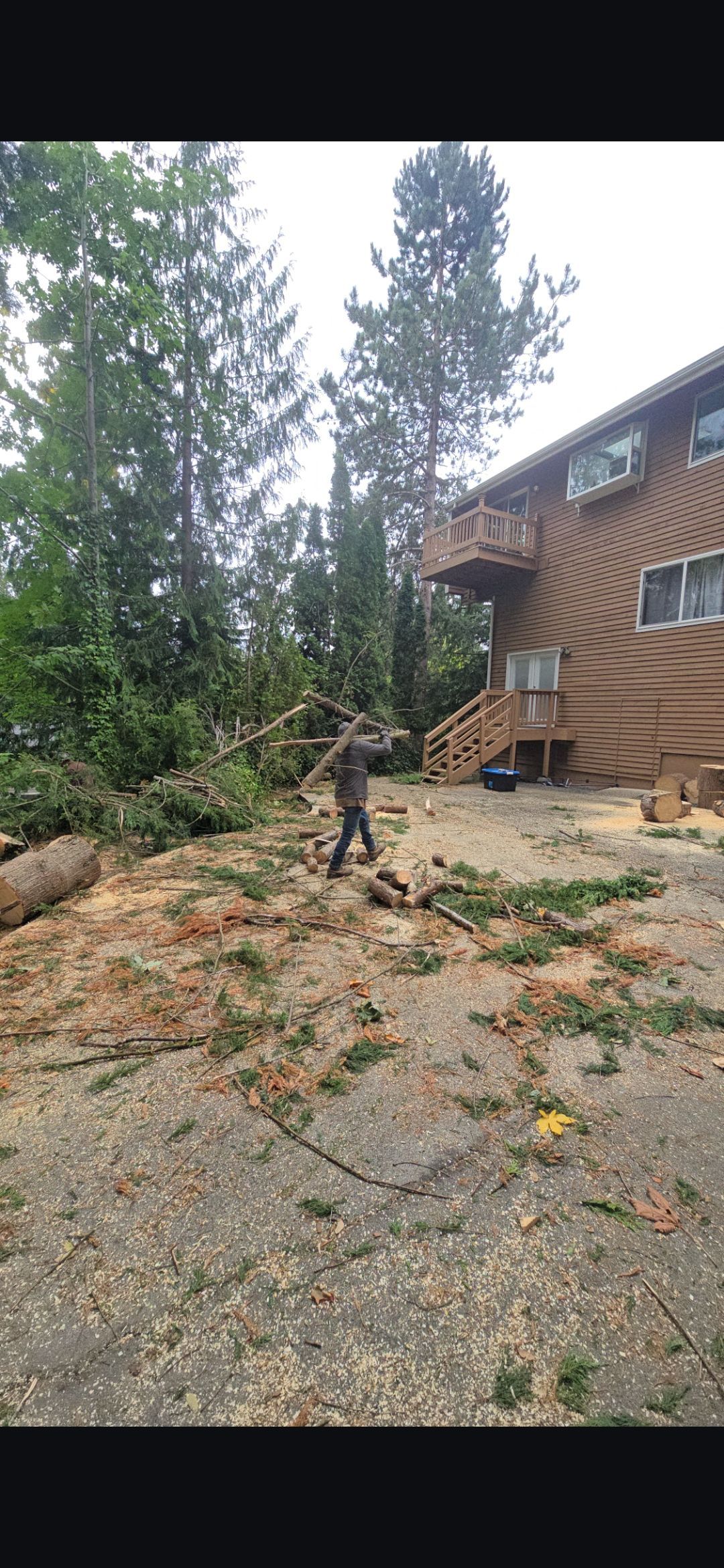 A person cutting wood near a house with a unique tree-like design, surrounded by trees and debris.