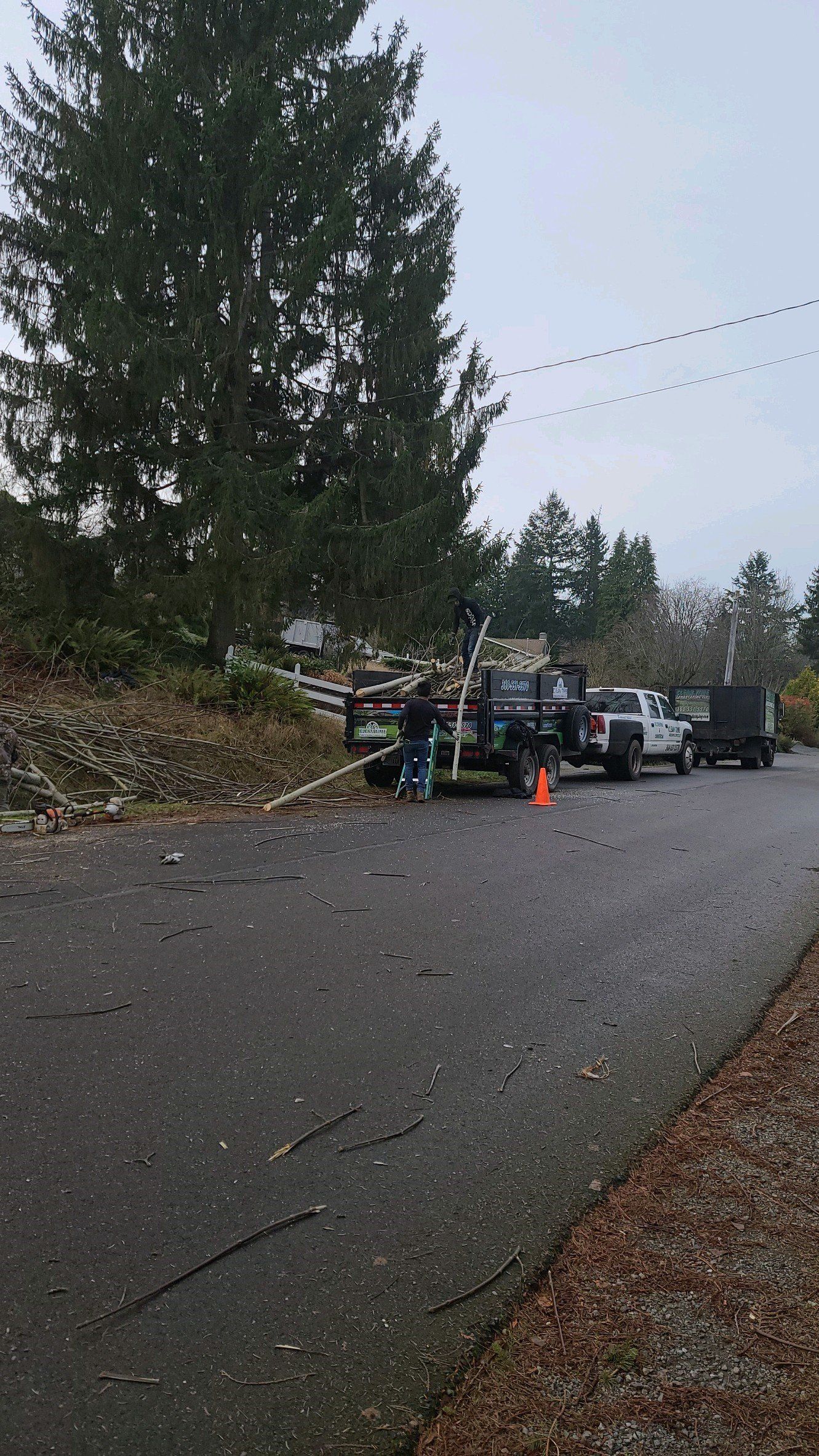 Utility trucks and workers near fallen power lines and tree debris on a street.