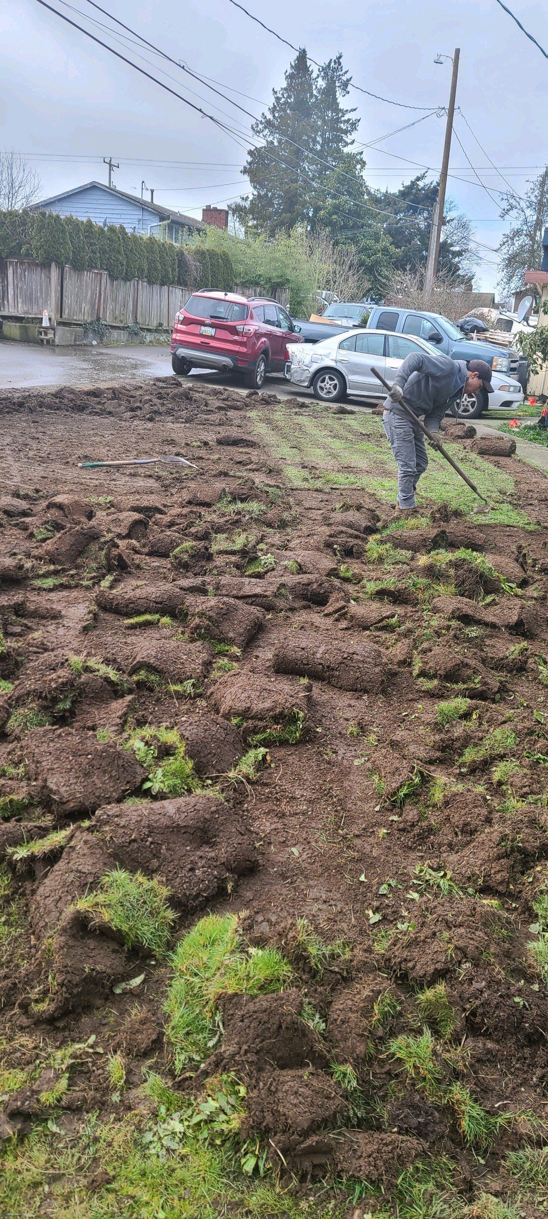 Uprooted grass and soil on a roadside, a person working, cars parked in the background. Overcast sky.