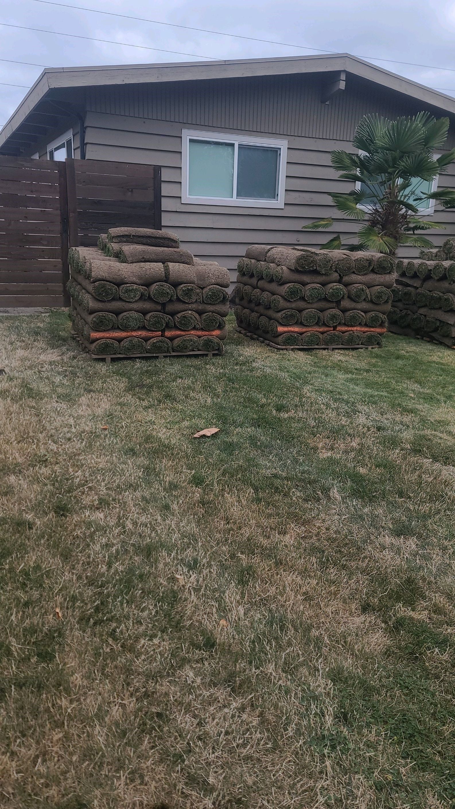 Stacks of sod in front of a house, set on a brown and green lawn.