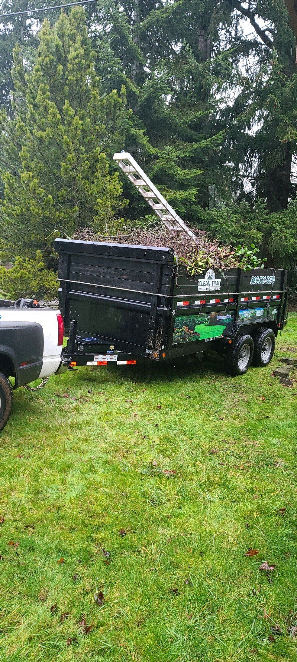 A black trailer filled with yard waste, parked on grass. A white ladder extends above the trailer. Trees in the background.