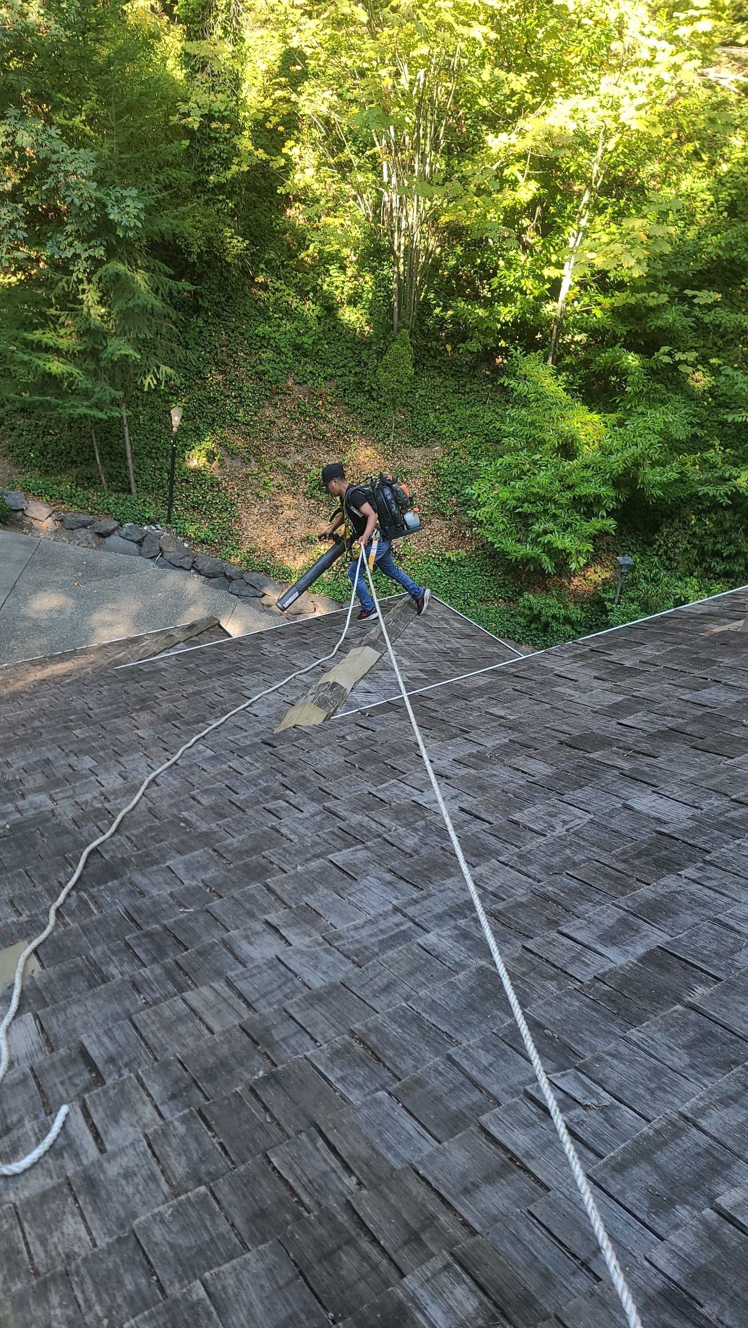 Roofer on a shingled roof, secured by ropes, near green trees.