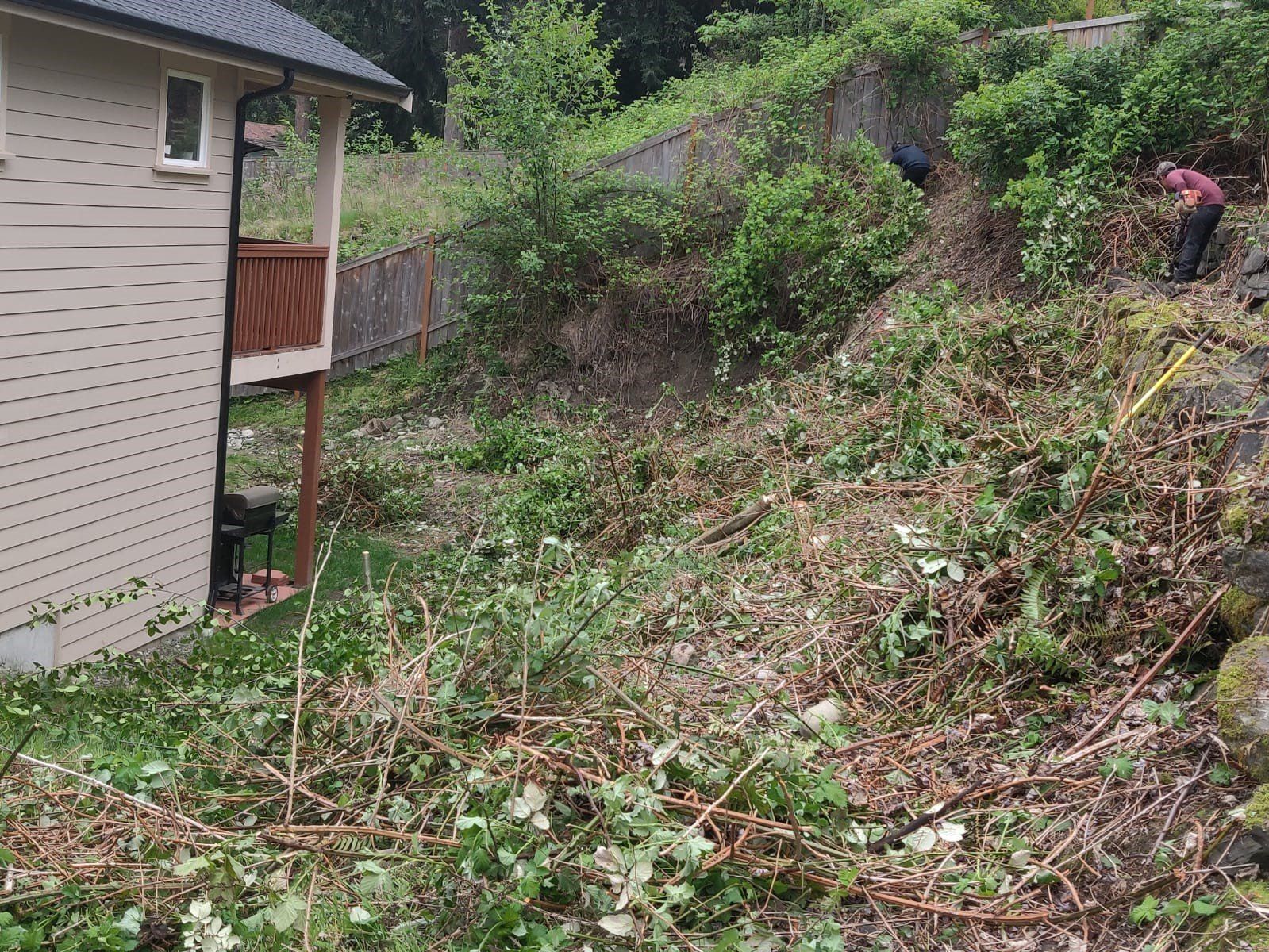 A person trimming overgrown bushes on a hillside next to a house with a deck.