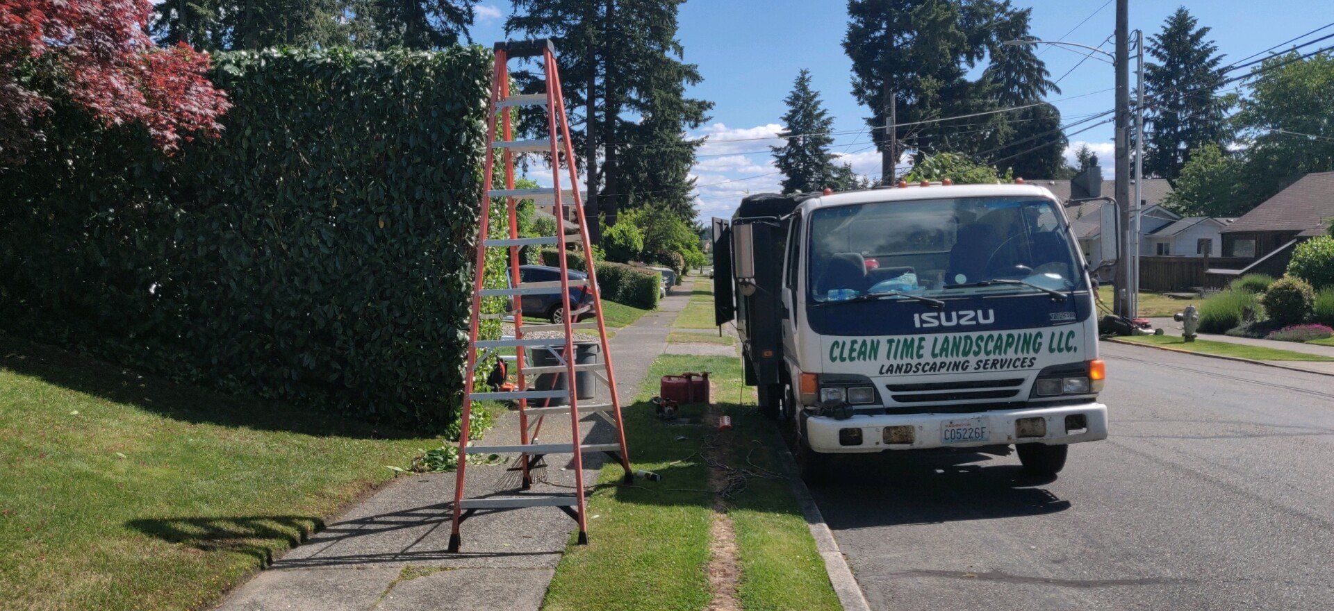 A tall ladder next to a large hedge with a white truck parked on the street.