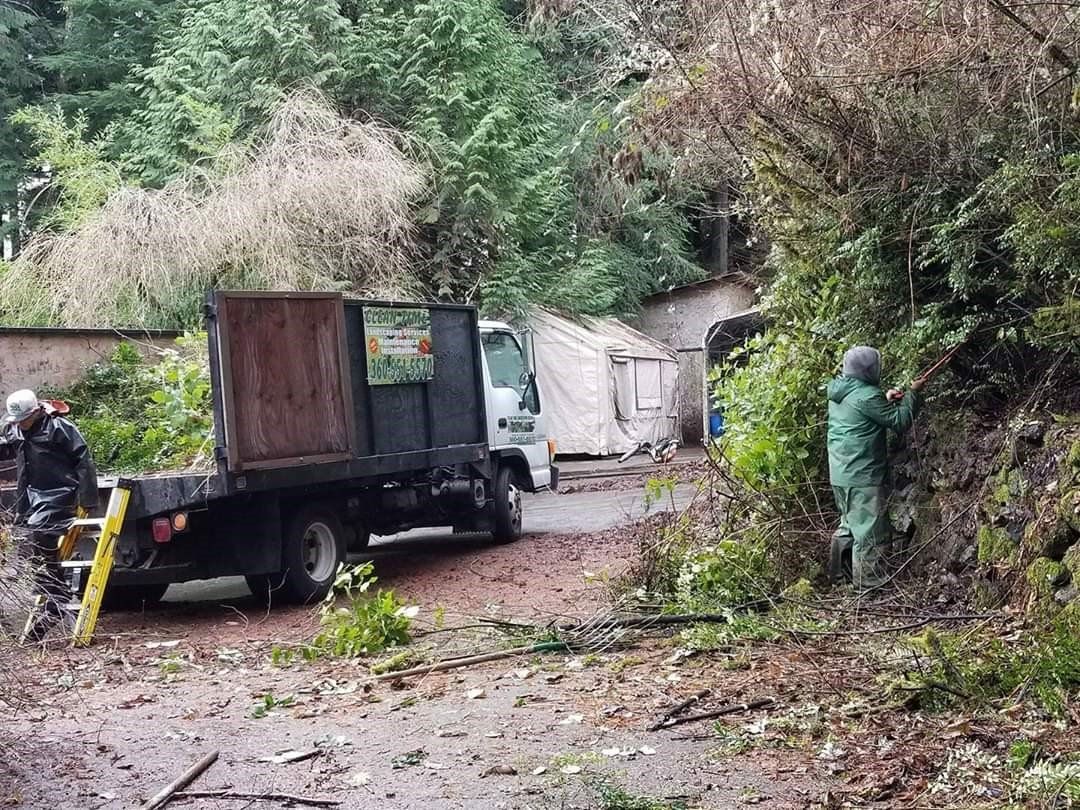 Workers trimming bushes near a truck loaded with a dumpster, on a dirt road near buildings and trees.