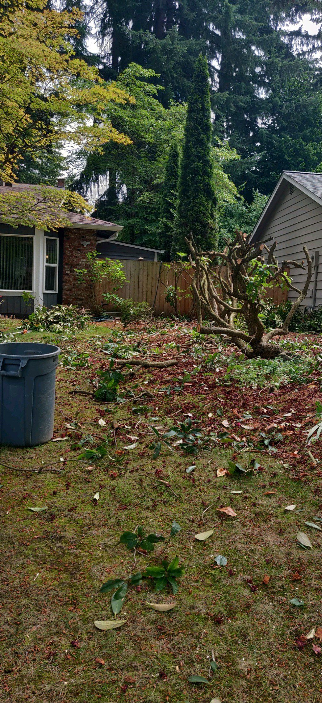 A yard with leaves, a trash can, and a small building with trees in the background.