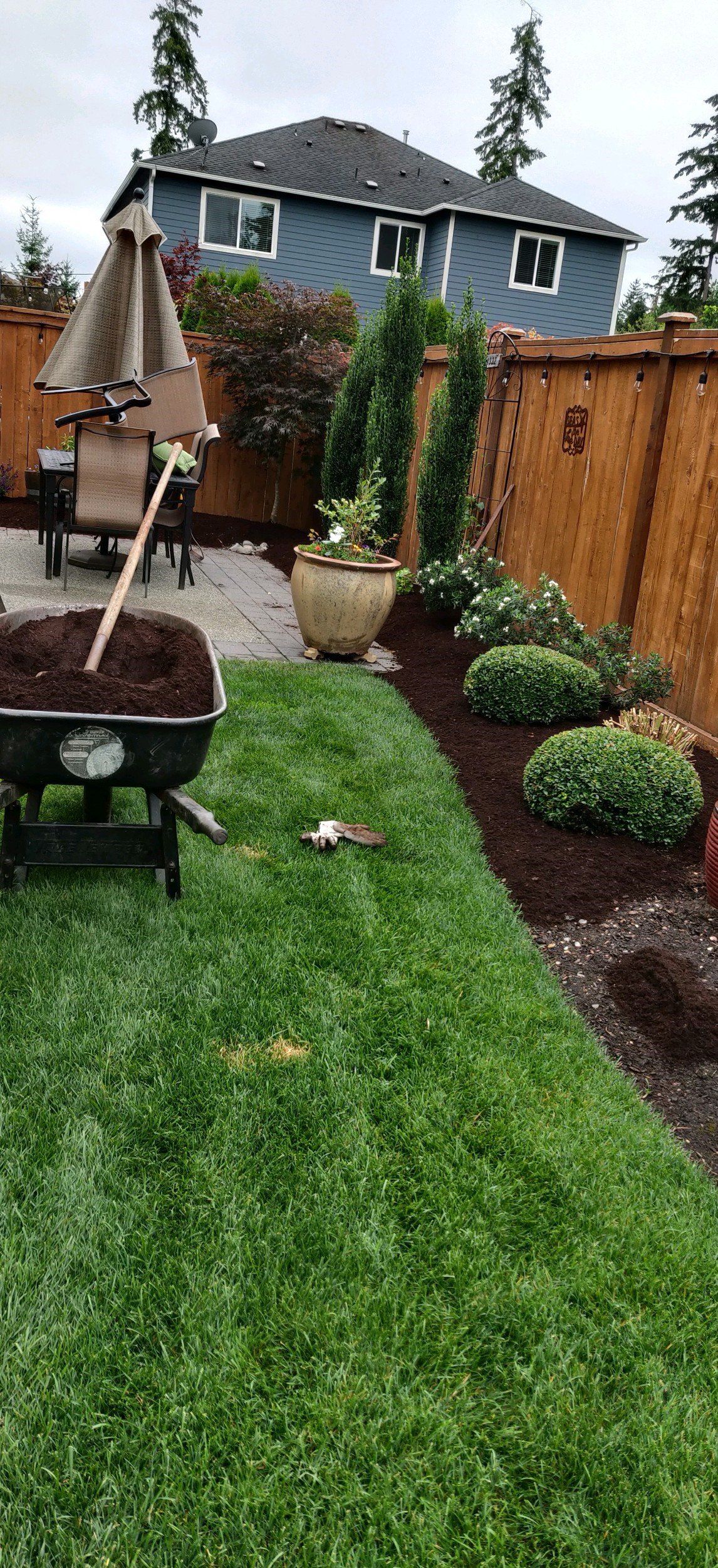A wheelbarrow full of mulch sits on a lawn; a backyard garden with a house in the background.