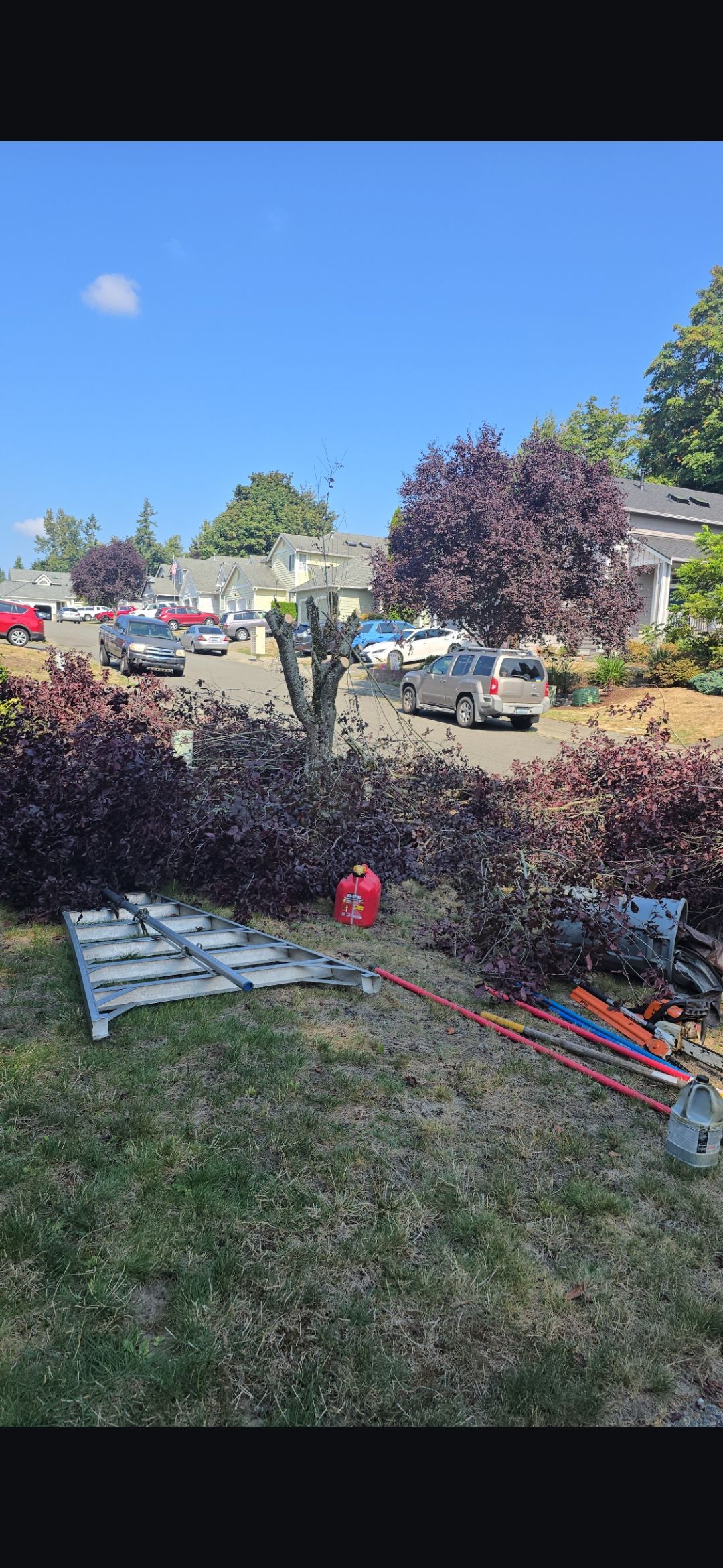 Yard work in progress; cut branches and equipment on grass lawn, houses and cars in background, blue sky.