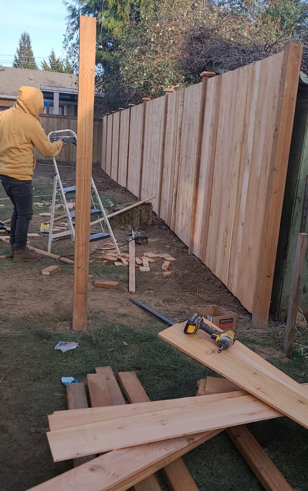 Person in yellow hoodie building a wooden fence outdoors, using a ladder and tools.