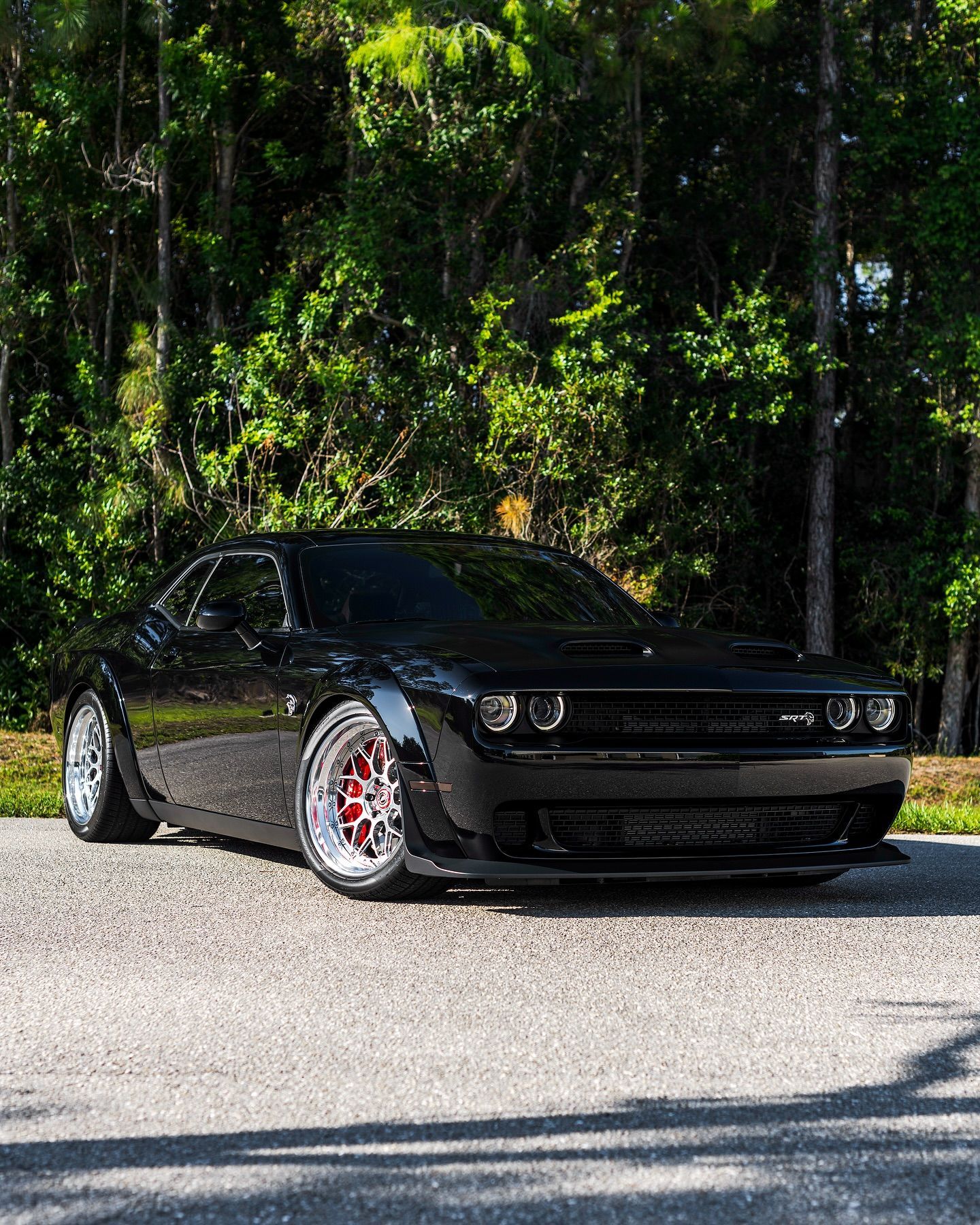 Black Dodge Challenger with window tint parked outdoors near trees in Naples, FL.