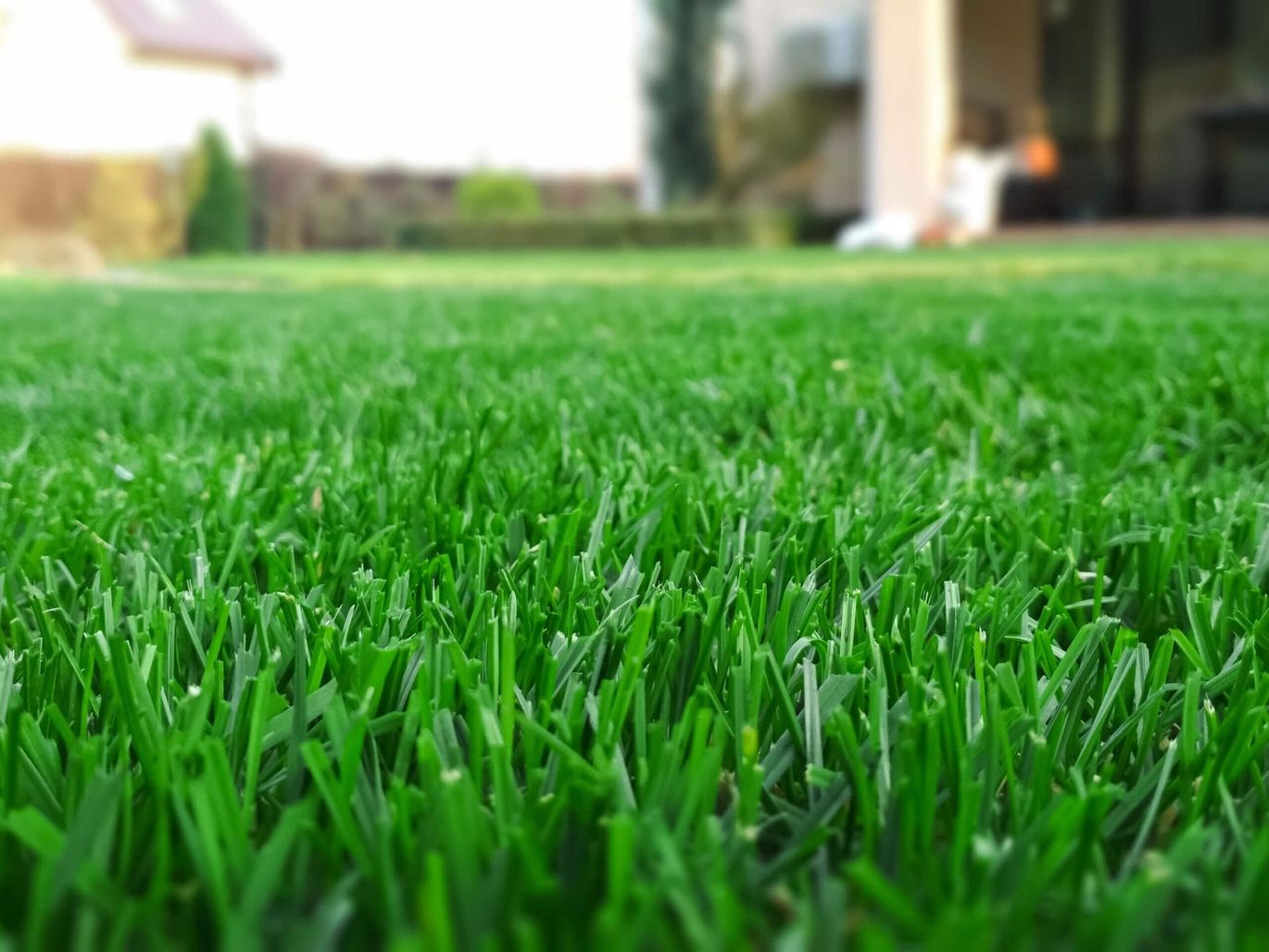 Sod Hydromulch Bermuda Zoysia St Augustine