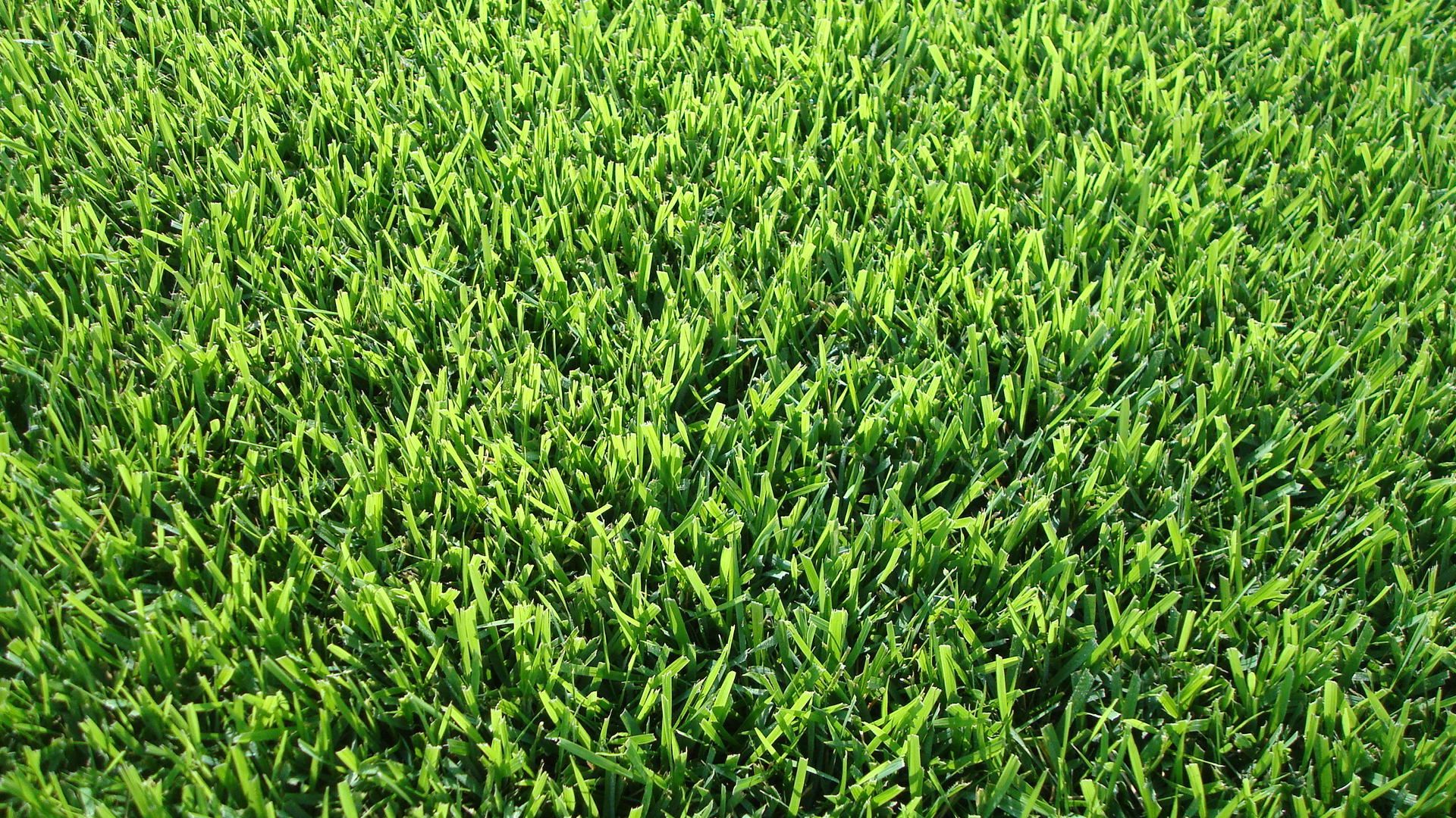 Sod Hydromulch Bermuda Zoysia St Augustine