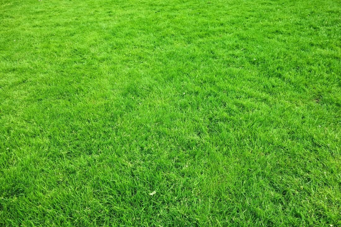 Sod Hydromulch Bermuda Zoysia St Augustine