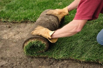 Sod Hydromulch Bermuda Zoysia St Augustine