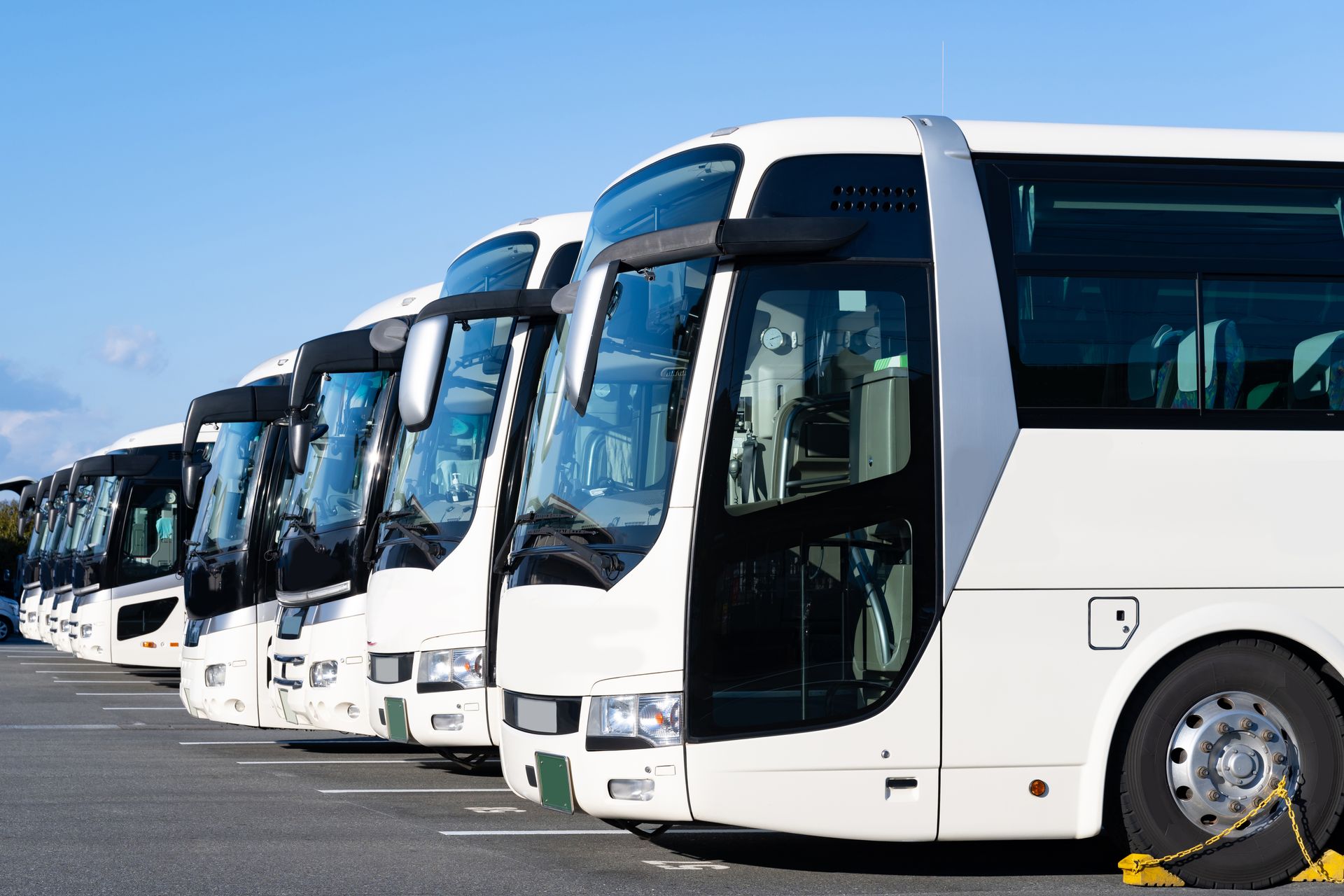 A row of white buses parked neatly in a parking lot under clear blue skies. A row of white buses parked neatly in a parking lot under clear blue skies.