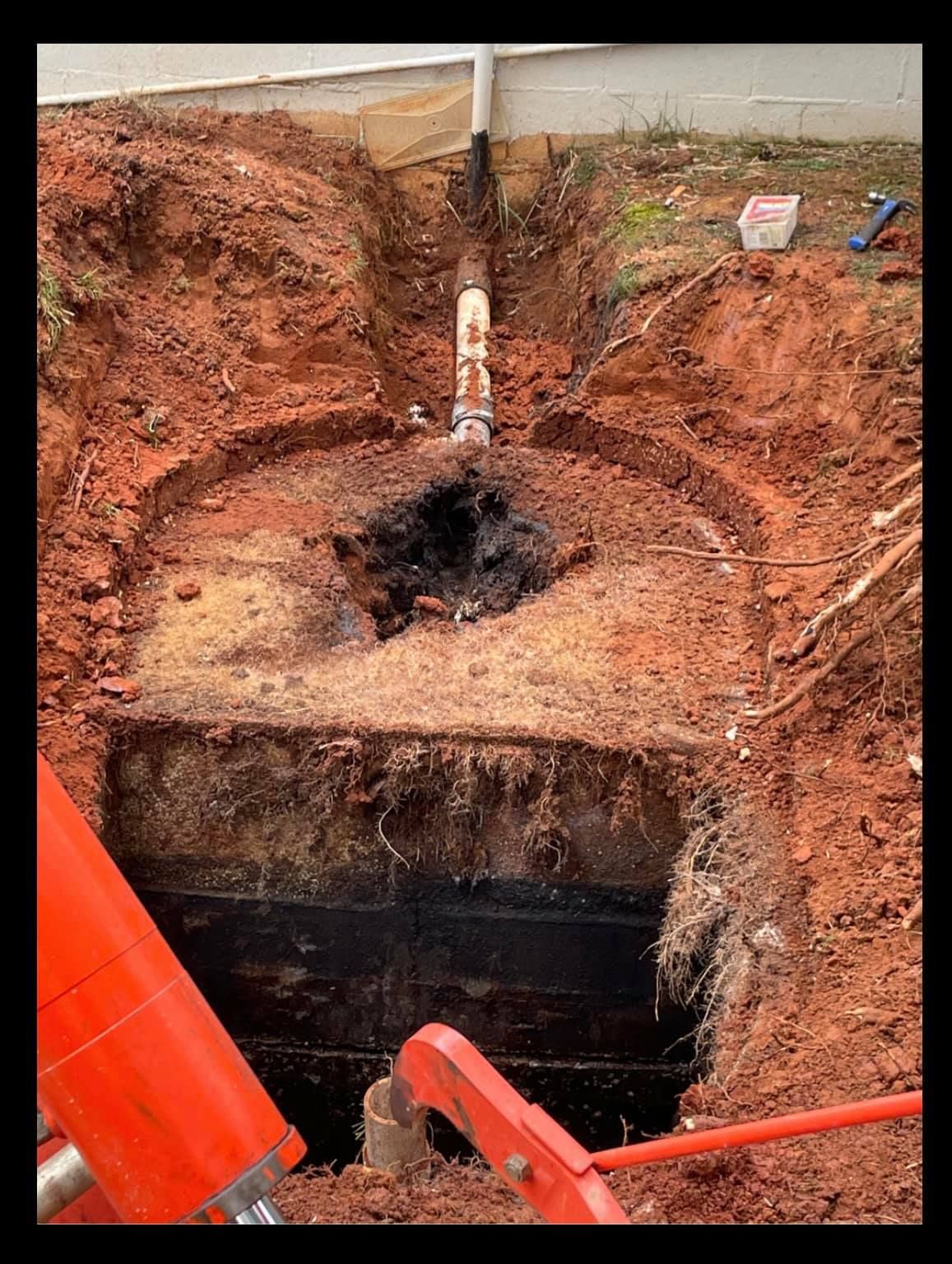 roots inside the septic tank