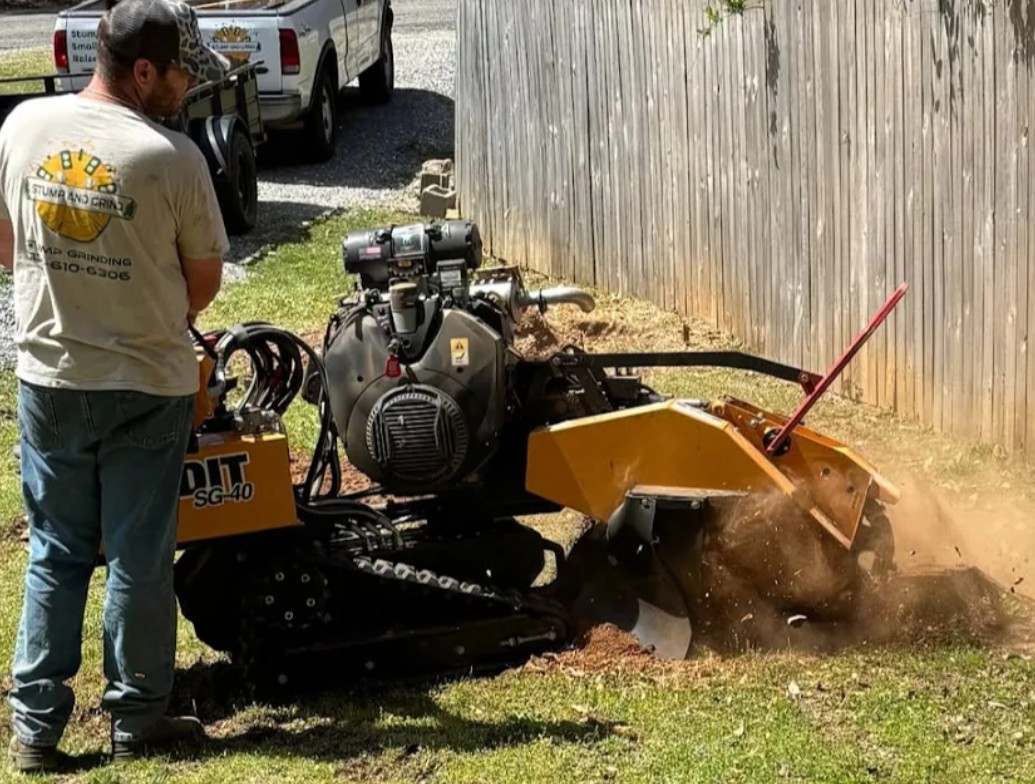 Man operating a yellow stump grinder on a lawn next to a wooden fence. Brown dirt and wood chips are flying.