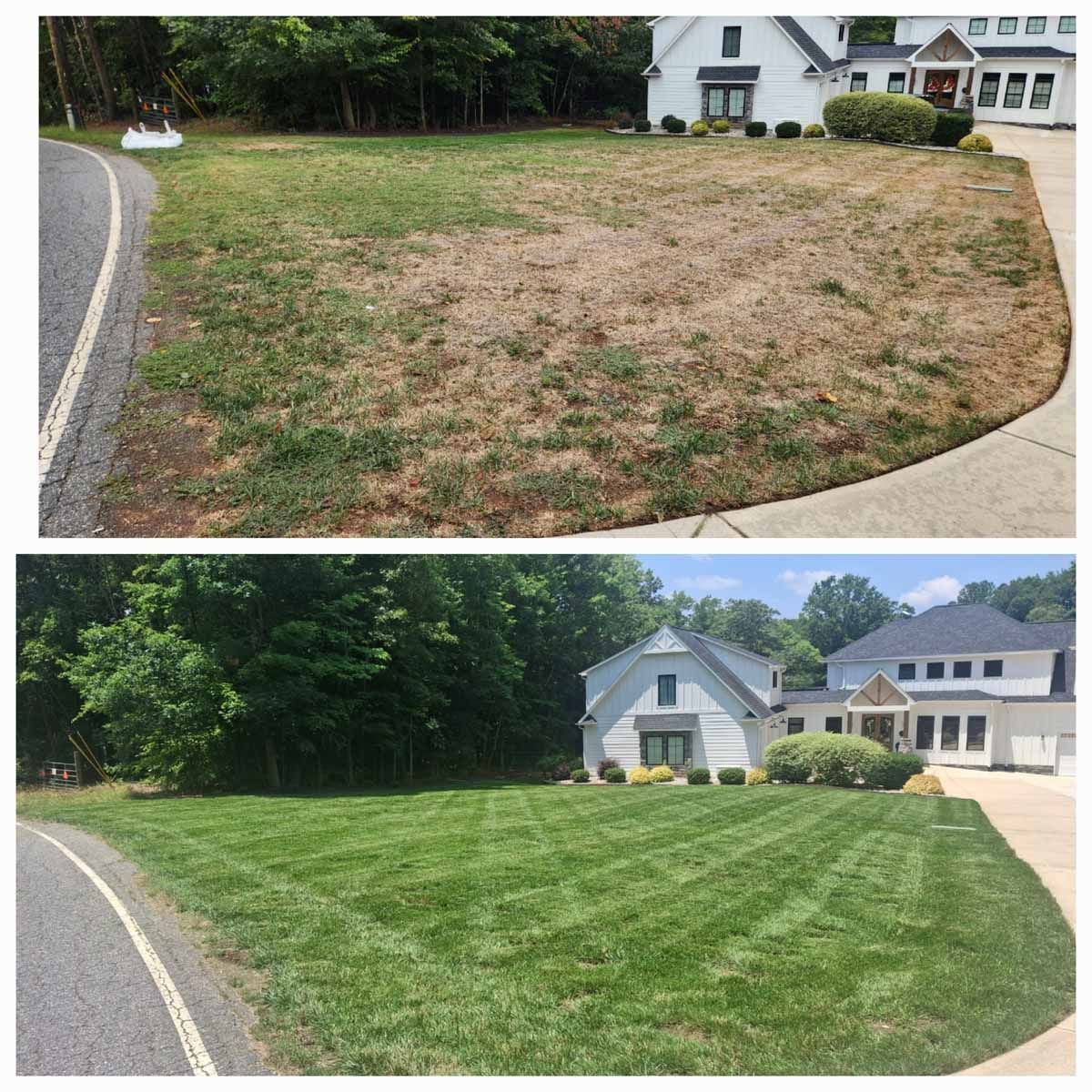 Before-and-after photos of a residential lawn, transitioning from dry, brown grass to a lush, green, mowed landscape.