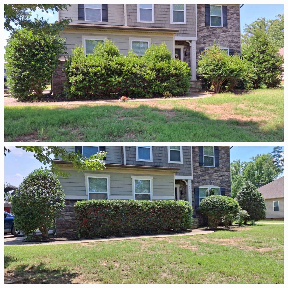 Before and after photos of a residential home exterior, showcasing a professional landscaping hedge trimming service.