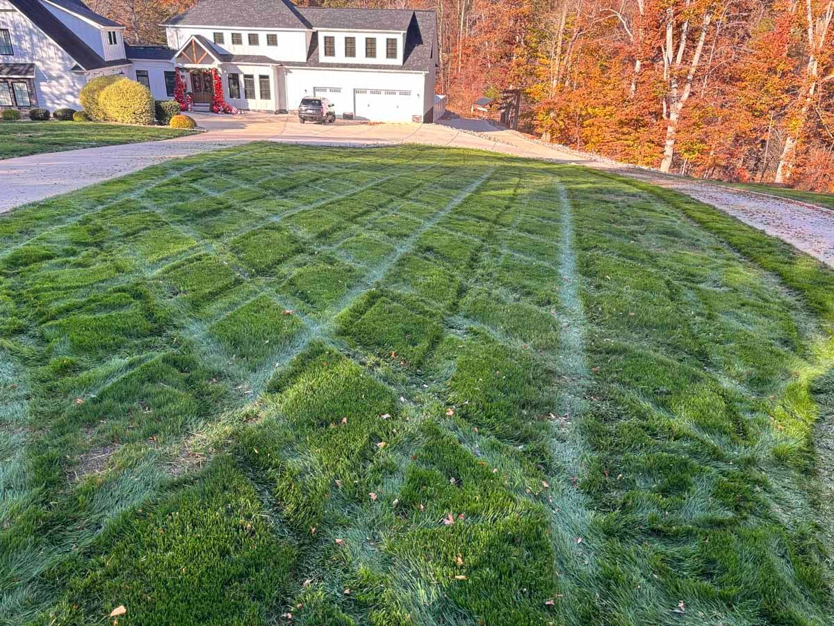 A lawn mowed with a crisscross, diamond-patterned design in front of a house on a sunny day.