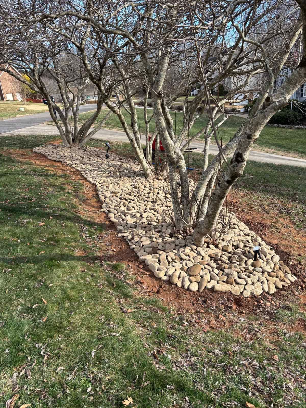 A bed of smooth river rocks surrounds the base of several deciduous trees on a grassy suburban lawn.