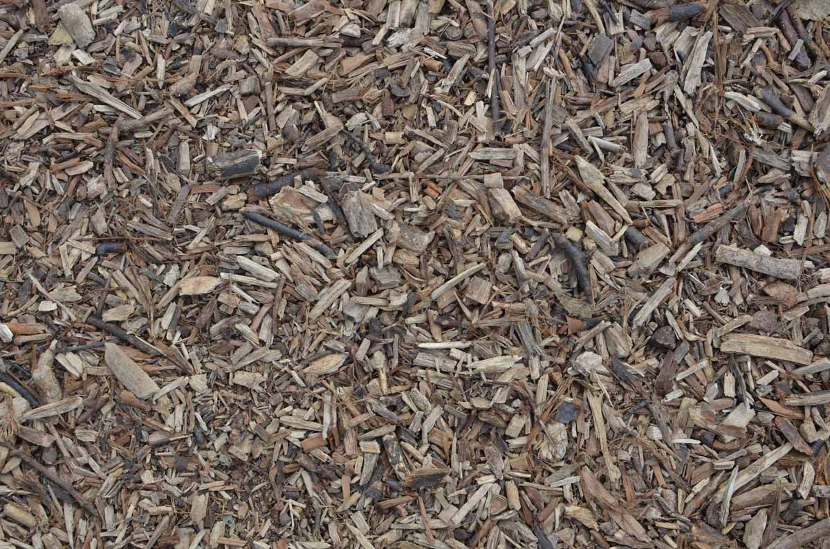 A close-up of light brown wood mulch chips covering the ground.