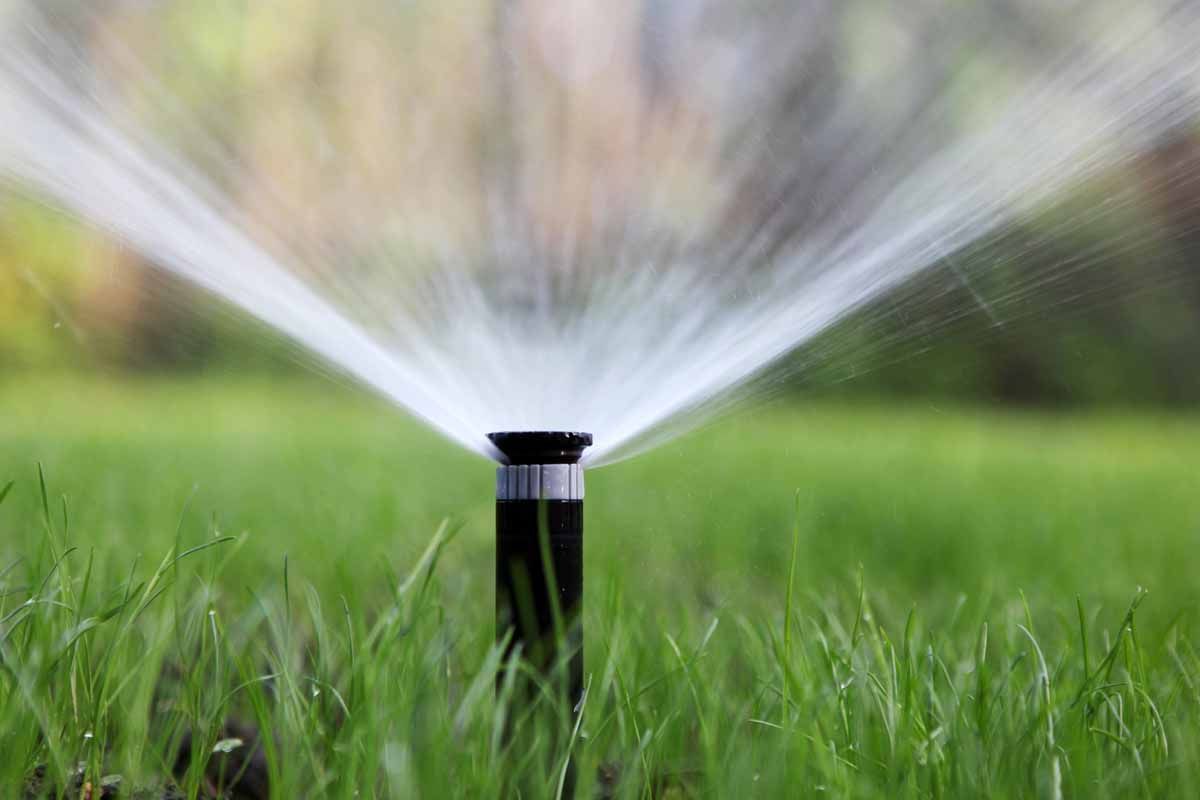 A lawn sprinkler spraying a fine mist of water over green grass.