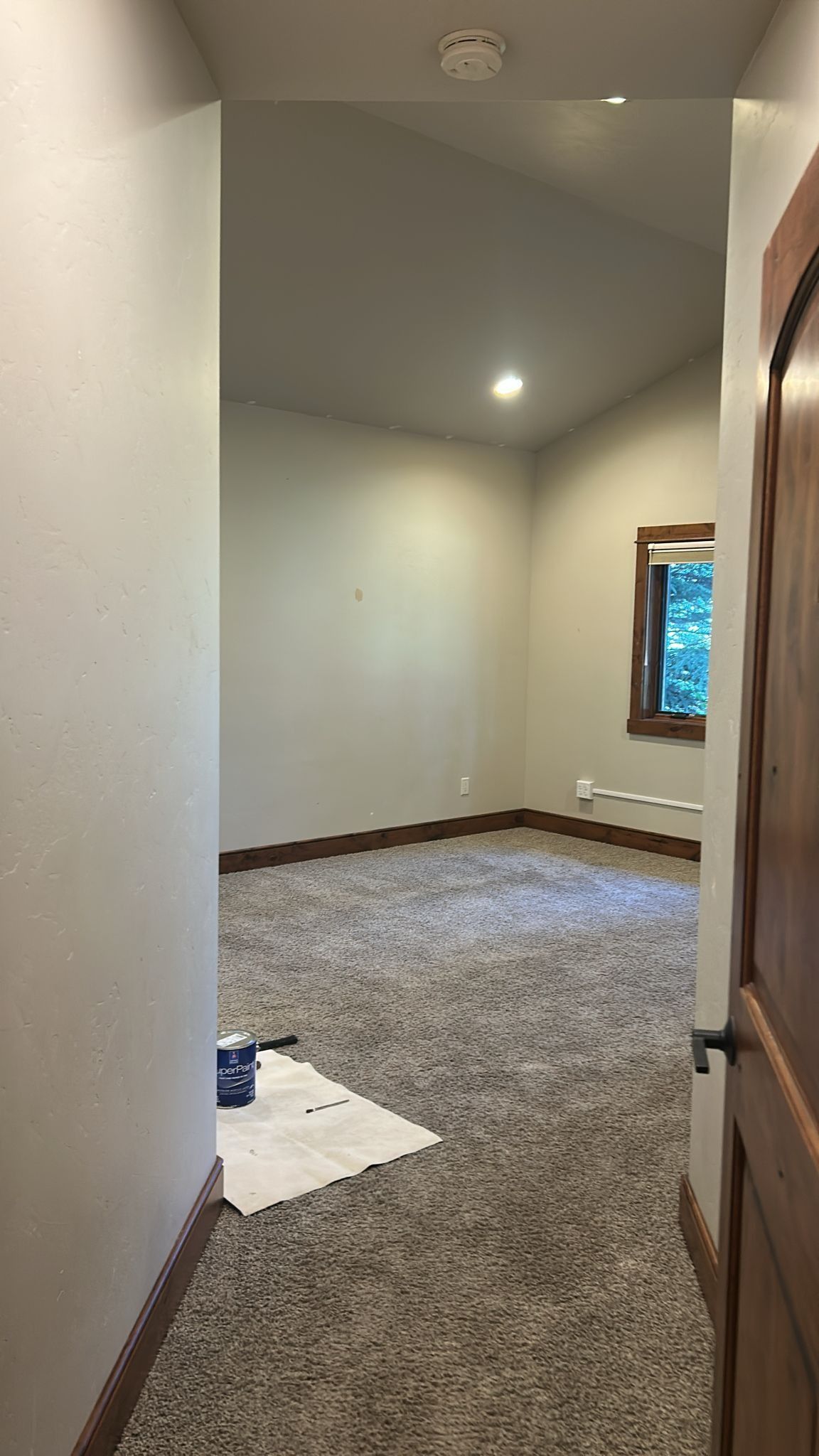 View into a room with beige walls, brown carpet, window, and open wooden door.