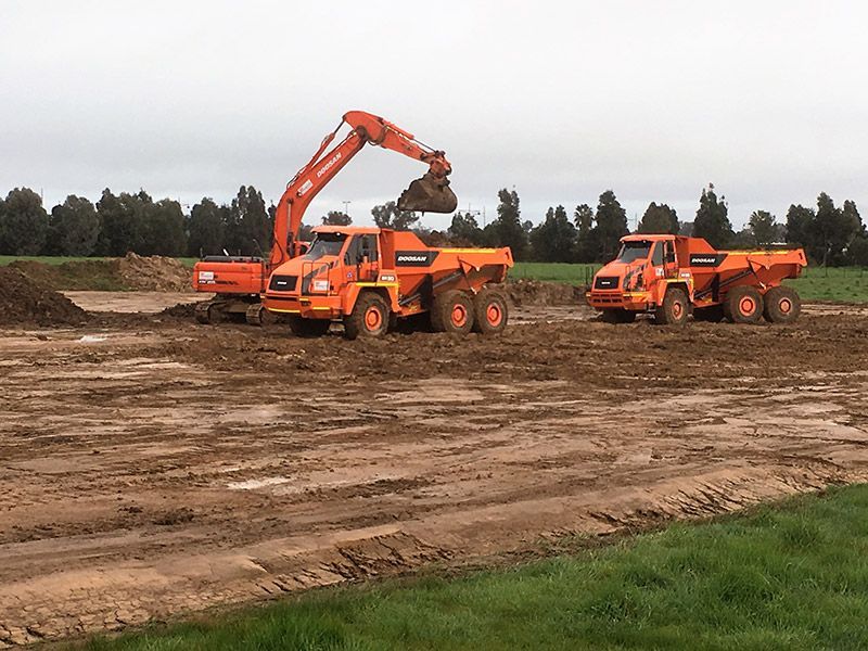 Two orange dump trucks are driving through a dirt field.