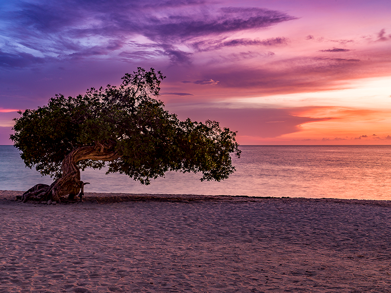 ARUBA LANDSCHAPFOTOGRAFIEGALERIJ