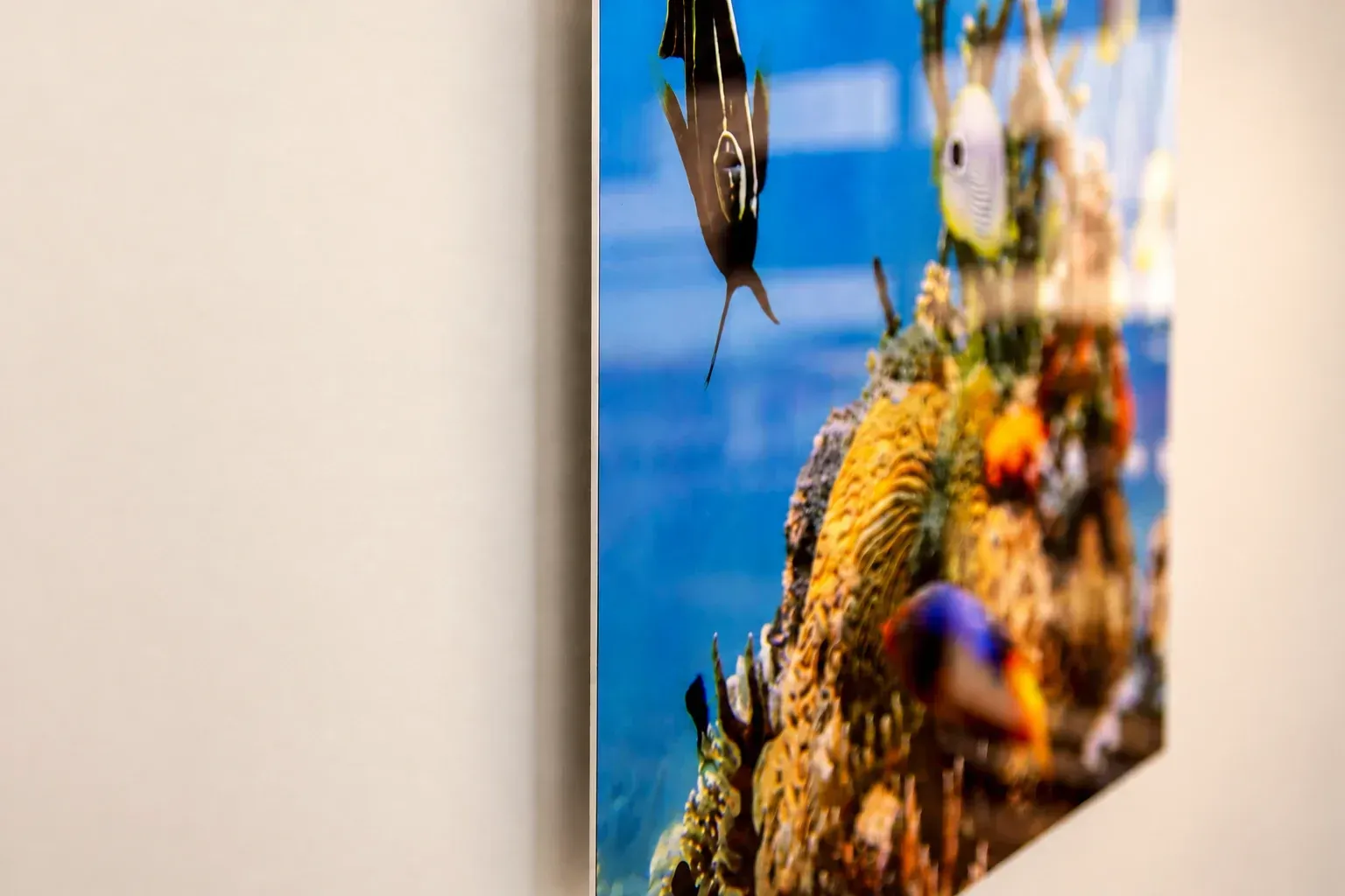 Close-up visualization of a thin 1 mm metal print floating half an inch from a smooth wall