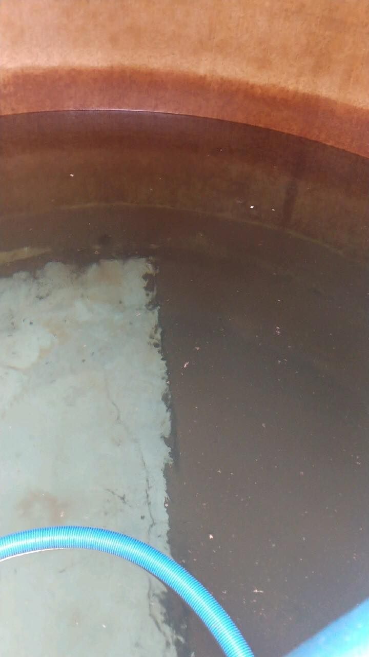 Brown water inside a ceramic tank, with white foamy residue along the side. A blue hose lies in the bottom. Brown water inside a ceramic tank, with white foamy residue along the side. A blue hose lies in the bottom.