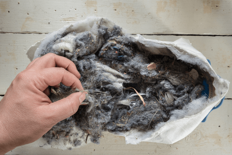 The Often-Forgotten Vacuum Bag