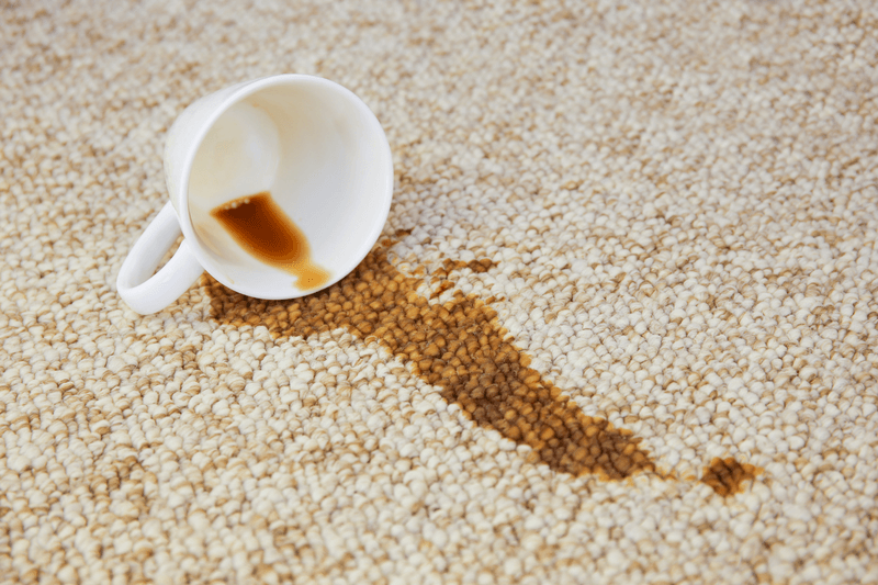 Carpet Stain Cleaning