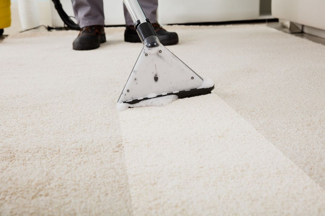 Carpet Cleaning