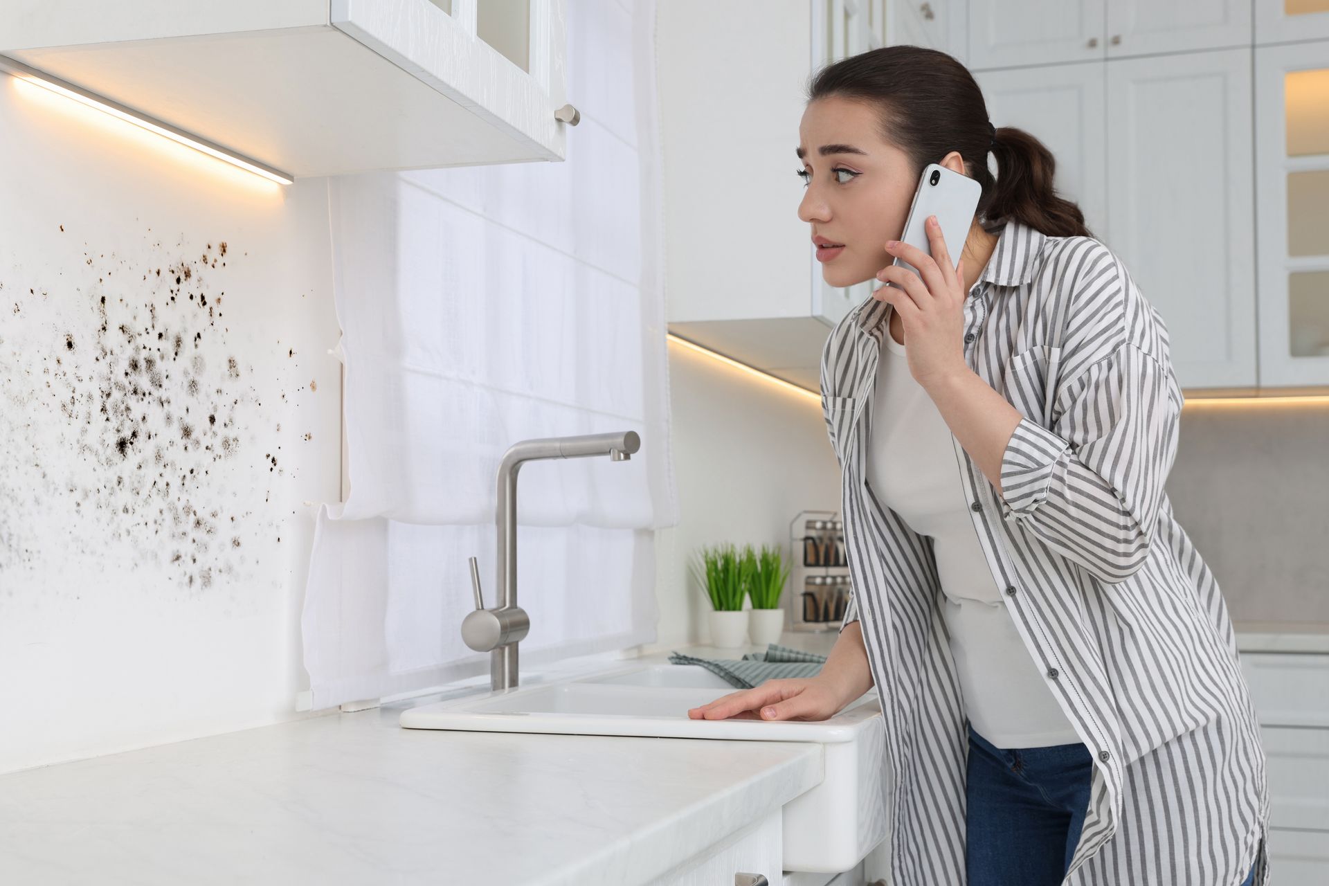 When to Call a Pro for Mold Removal in Wisconsin