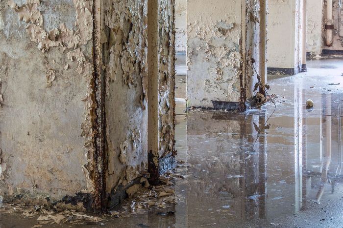 Carpet Cleaning Plover FL