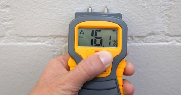water damage assessment