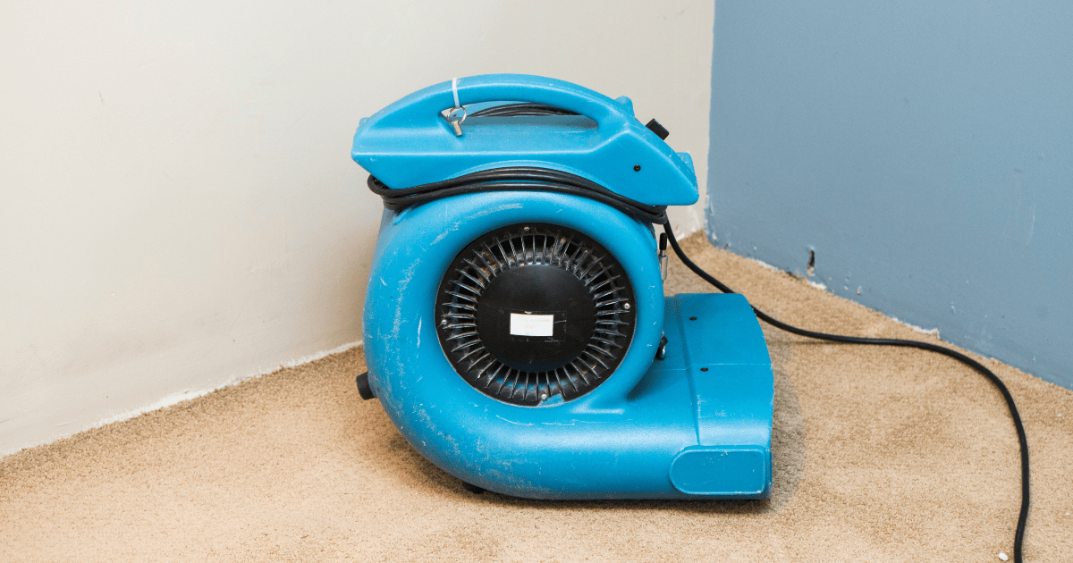 11 Most Common Causes of Water Damage in Stevens Point, WI