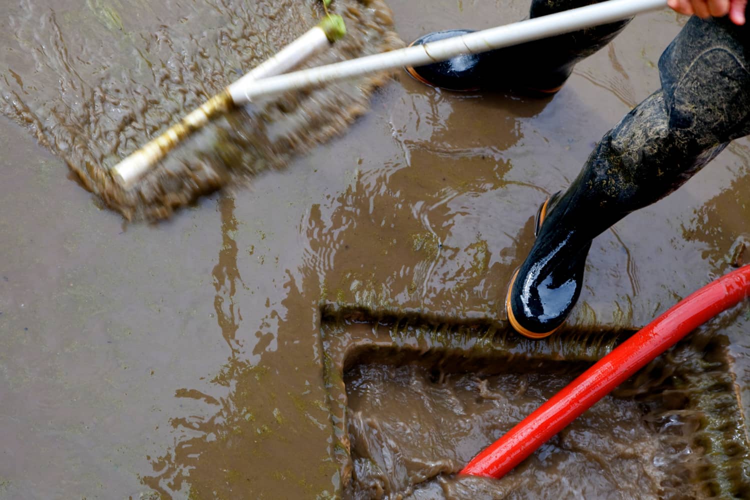 Here's Why You Need Sewage Cleanup Services
