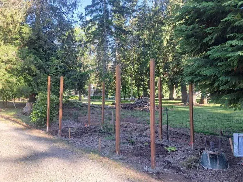 Garden plot with young wooden posts and wire fencing beside a paved path in a wooded park.