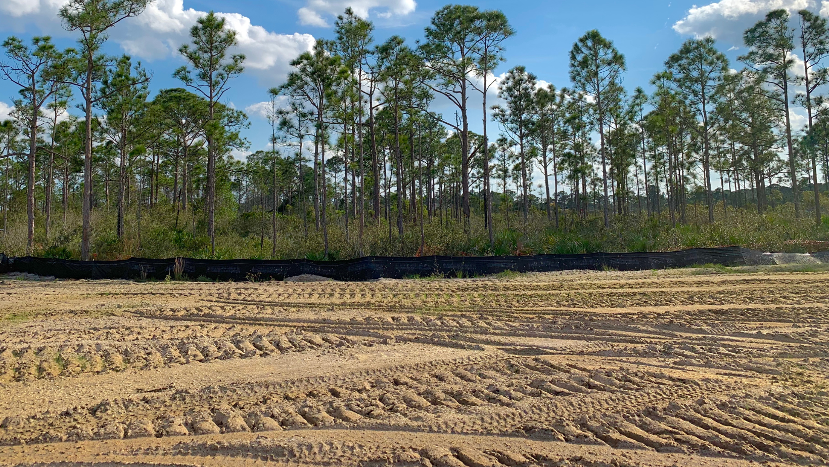 land clearing